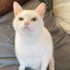 JZ avatar