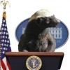 Jim H avatar