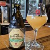 Marjon Langenhuijsen avatar