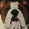 chuck Laird avatar