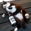 The Hopfather™  avatar