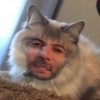 Noah  avatar
