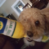Tim O avatar