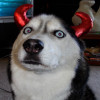 Scot Crowell avatar