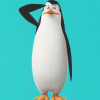 Yoav Kowalski avatar