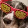 Dwight H avatar