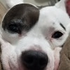 Jacob R avatar