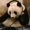 Ed K avatar