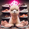 AlpacaP