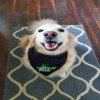 Clayton Lower avatar