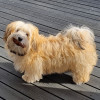 Miska J avatar