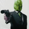 Paskal Hops avatar