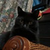 FB01515 avatar