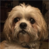 Jeff Miller avatar