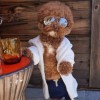 Will Hubert avatar