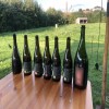 lambic-paul avatar