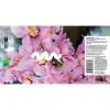 Tropical Rumble label