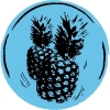 Pacific Pineapple by 2 Towns Ciderhouse