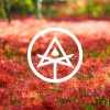 Daylily label