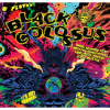 Black Colossus by 3 Floyds Brewing