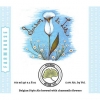 Saison de Lis label