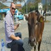 david imsland avatar