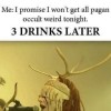 Flirting With Obesity avatar