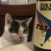 Dave  avatar