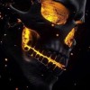 Thomas Wennerlund avatar