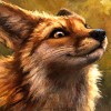 Jon  avatar