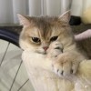 ruiqi_hu