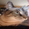 Scott Peters avatar