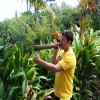 TheeFarmerMatt  avatar
