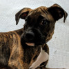 Kevin Johnson avatar
