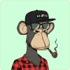 INT 3 avatar